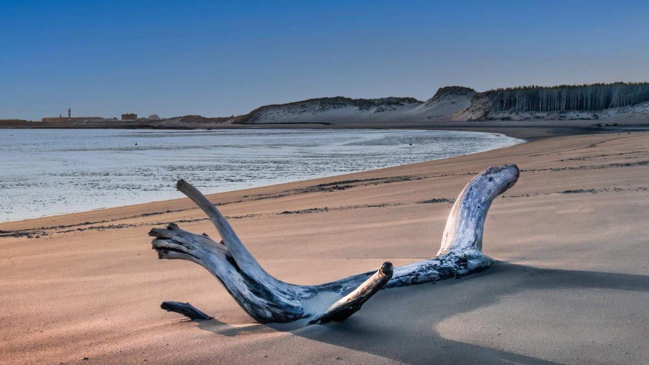 Studio "Les Pieds Dans L'Eau" - 50M Front De Mer Berck Zewnętrze zdjęcie